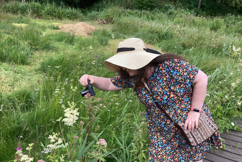 Grass of Parnassus